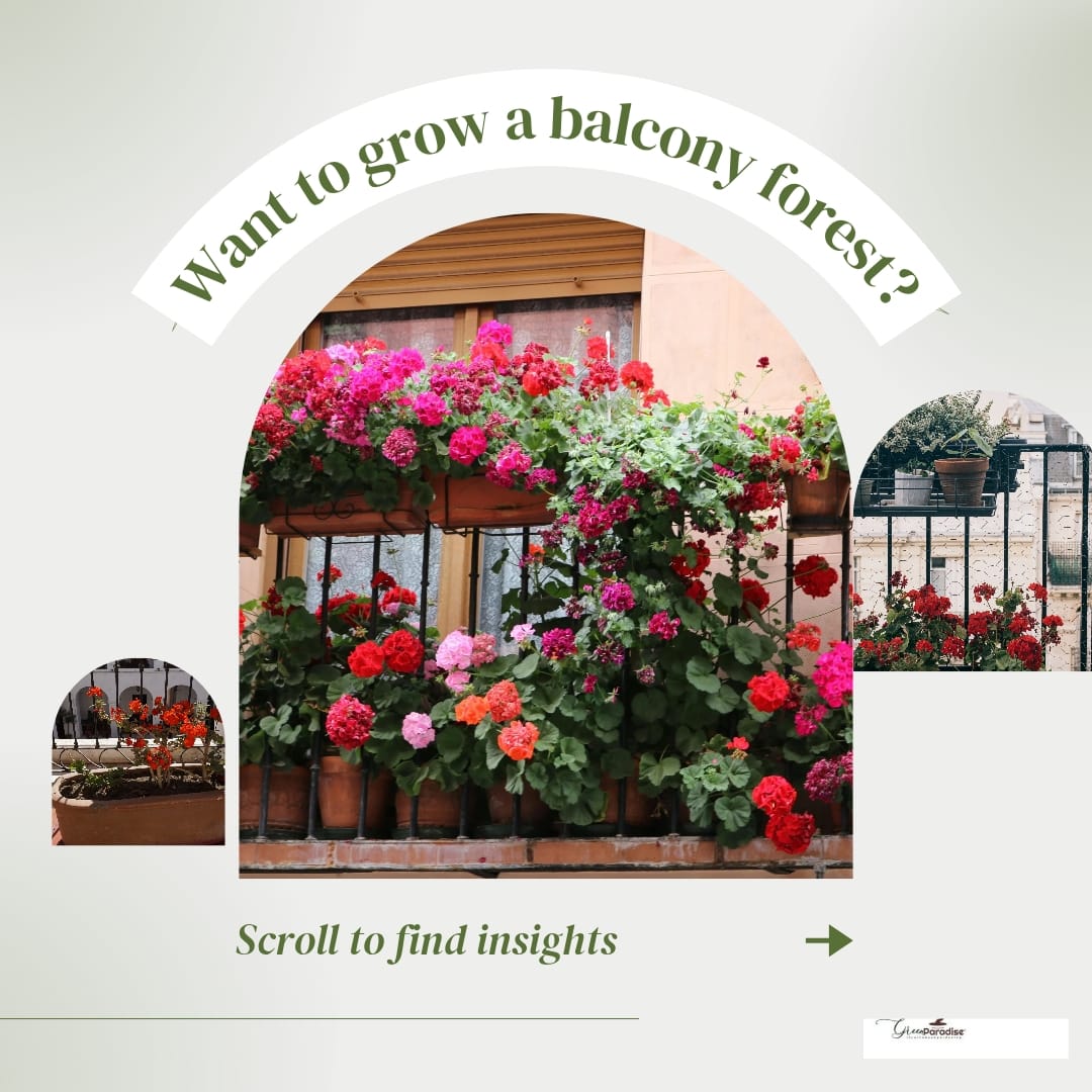 Transform Your Balcony Into a Mini Jungle: A Complete Guide
