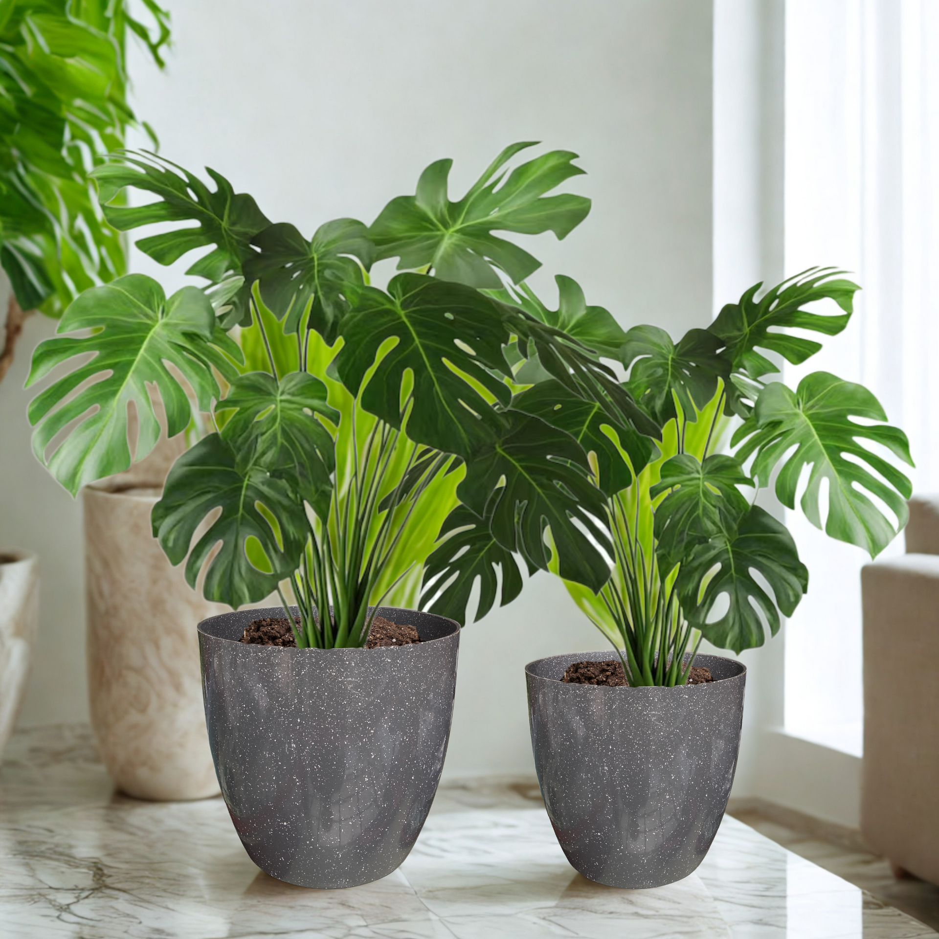 Green Paradise® Premium Grey Plastic Pot – Elegant Indoor & Outdoor Planter for your garden