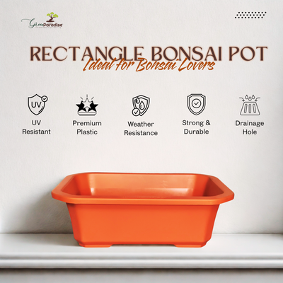 Green Paradise® Premium Rectangular Bonsai Pot Durable Plastic 40cm pot
