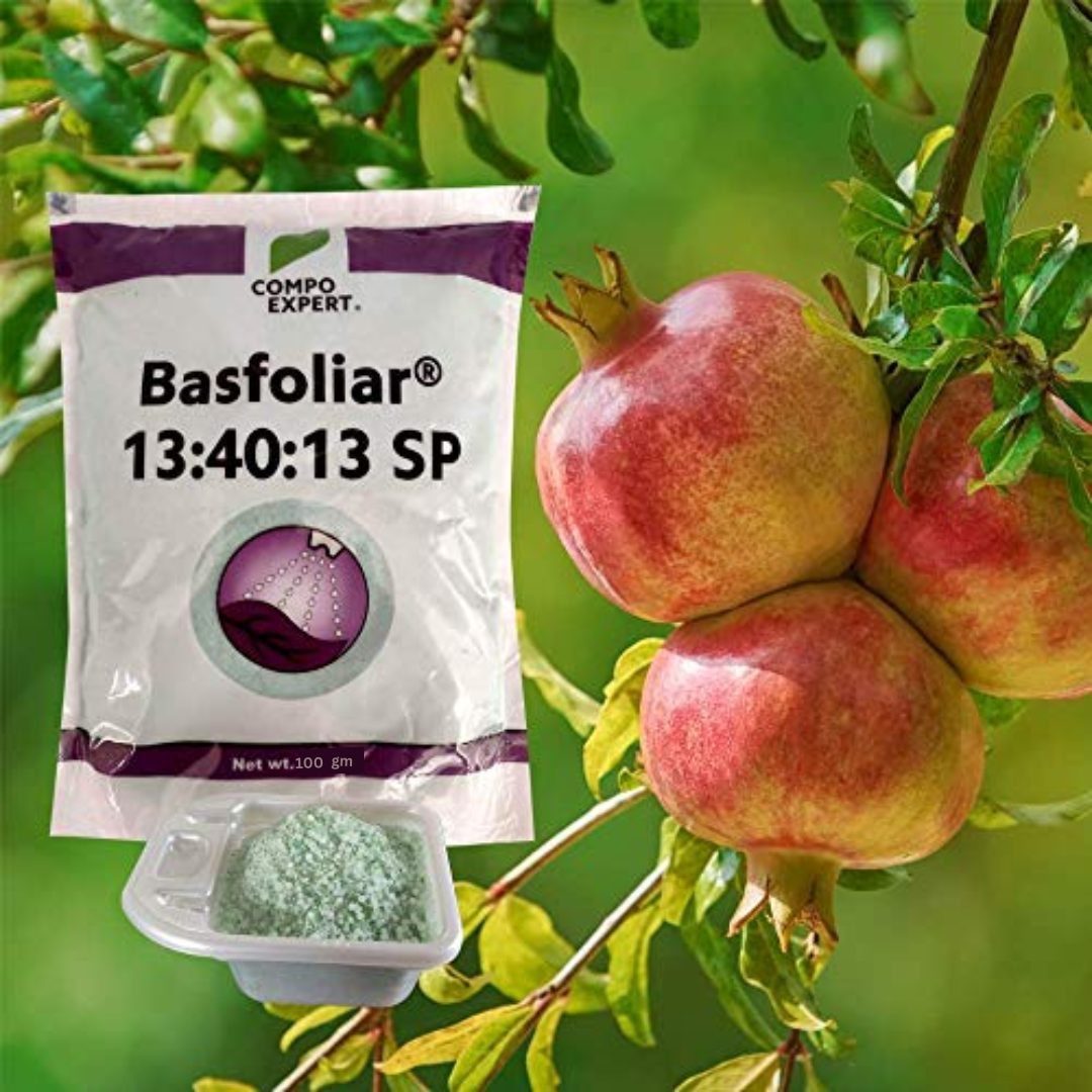Basfoliar 13:40:13 NPK For Home Garden & Plants-The Ultimate Plant Nutrition Solution (100 gm)