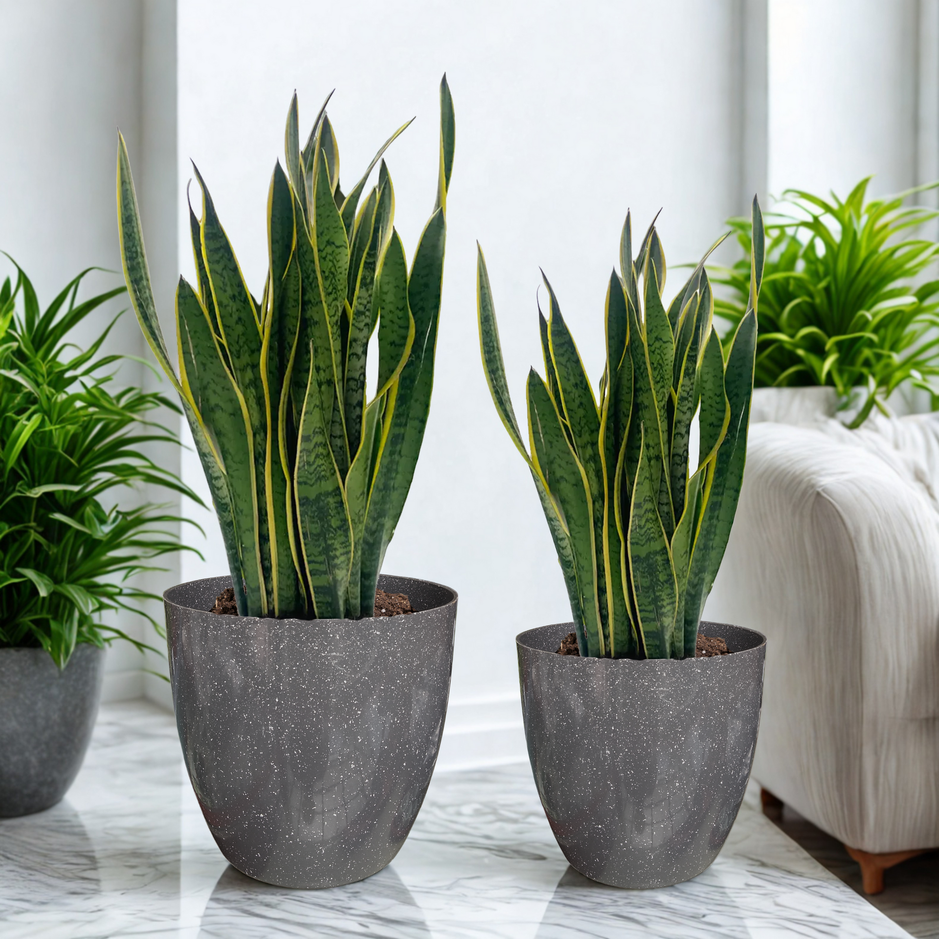 Green Paradise® Premium Grey Plastic Pot – Elegant Indoor & Outdoor Planter for your garden