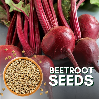Beetroot Seeds