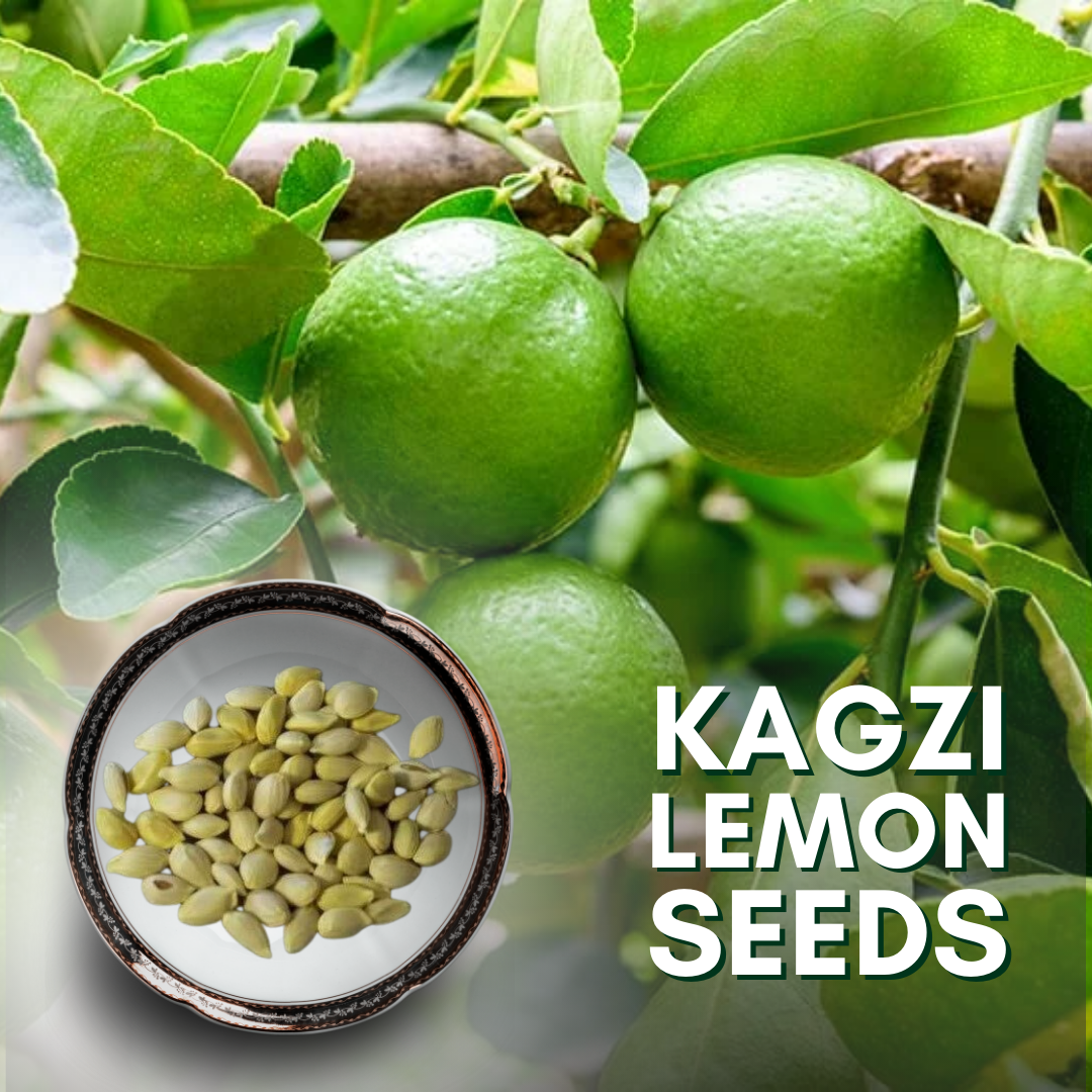 Green Paradise® kagazi lemon original F1 seeds