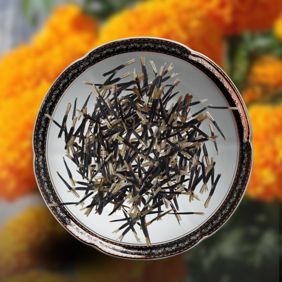 marigold flowers seeds Green Paradise® Marigold Flower Seeds Pack – GreenParadiseLive