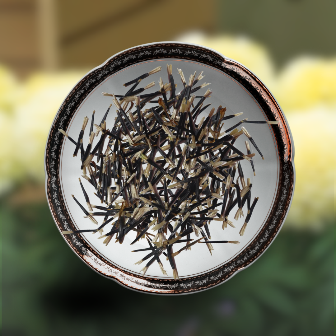 vanilla marigold seeds Green Paradise® Marigold Vanilla Hybrid Seeds Pack – GreenParadiseLive