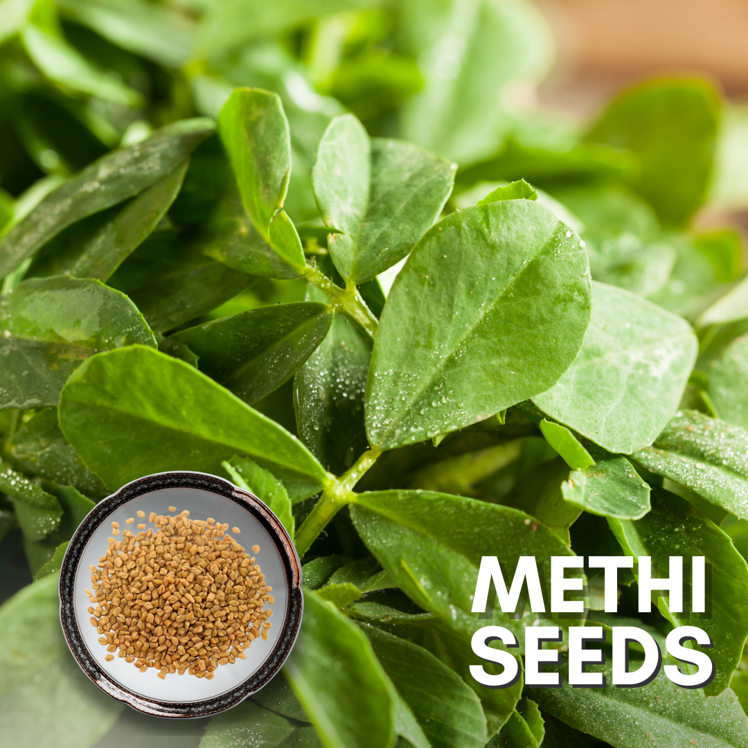 plant methi seeds Green Paradise® Methi Seeds Pack – GreenParadiseLive