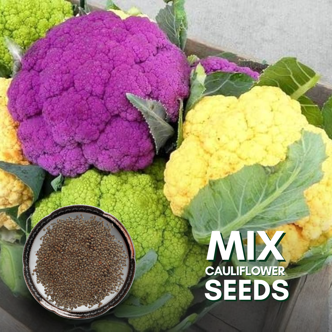 Green Paradise® F1 Hybrid Mix Cauliflower Seeds Pack