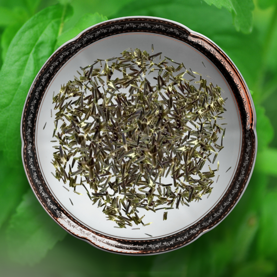 stevia plant seeds Green Paradise® Stevia IMP (Herbs) Seeds Pack – GreenParadiseLive