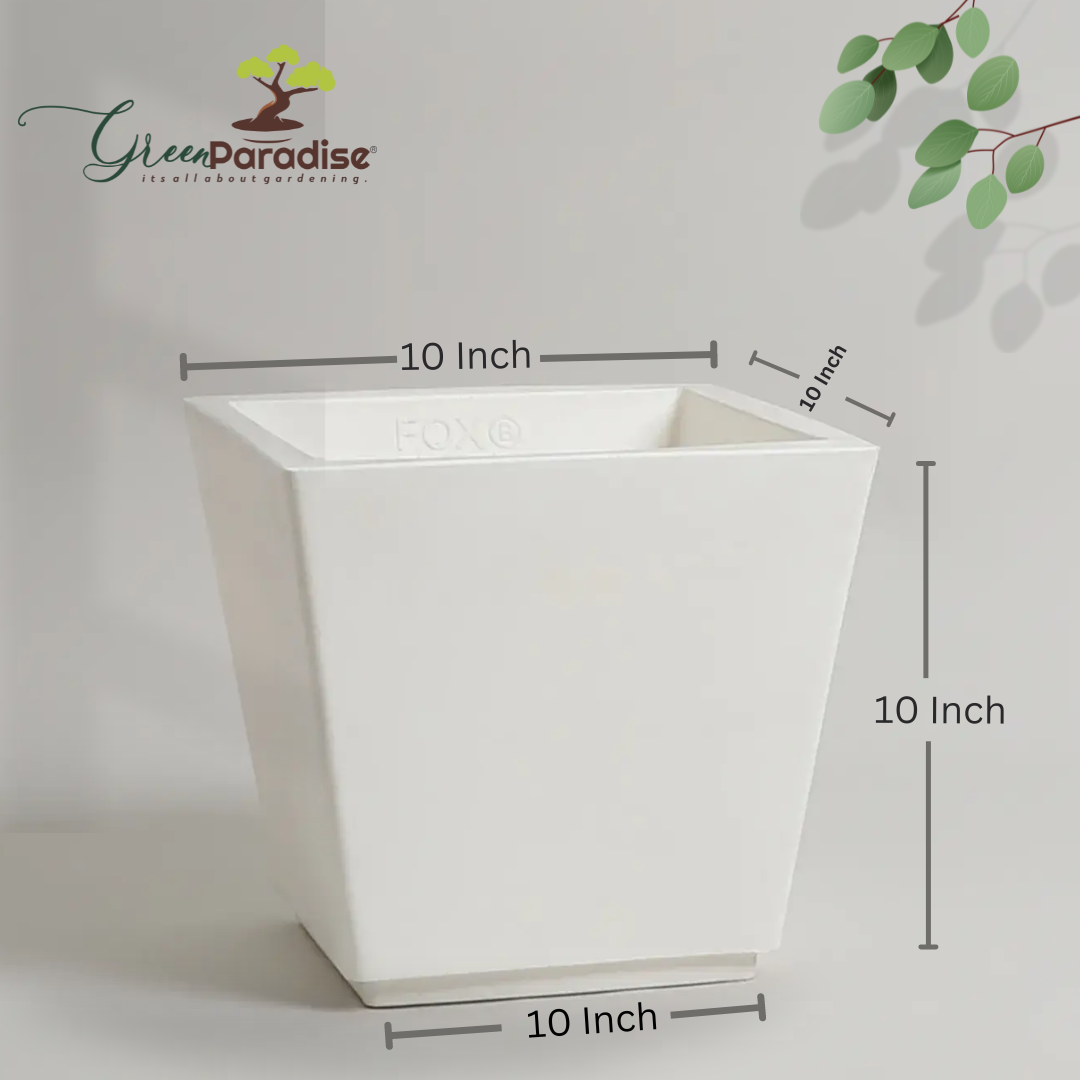 Green Paradise® Square Roto Molded High Qaulity Premium Planter