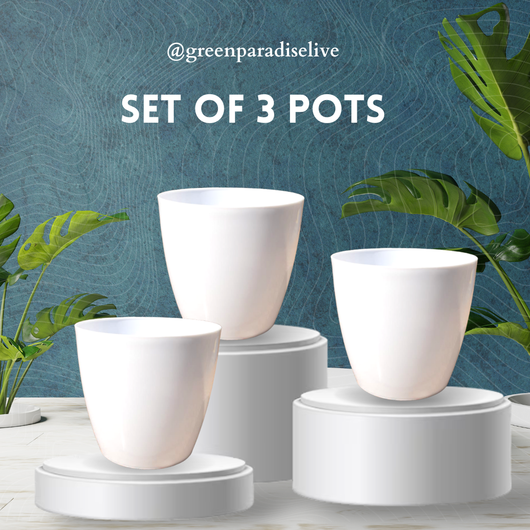 Green Paradise® Premium Glossy Plastic Pots ( set of 3 )