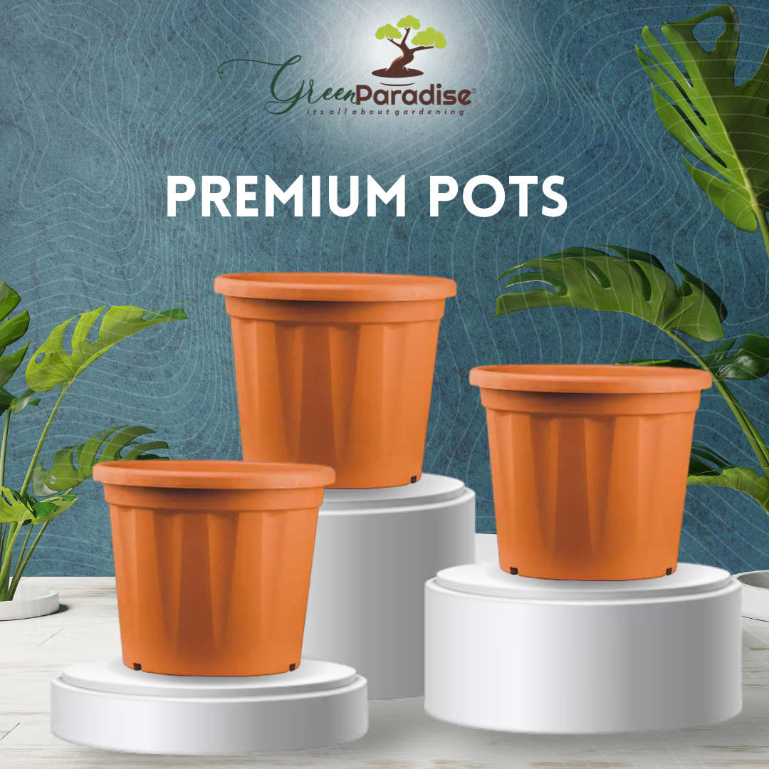 Green Paradise Premium Plastic Pots Durable and Eco-Friendly Plant Container for Healthy Growth