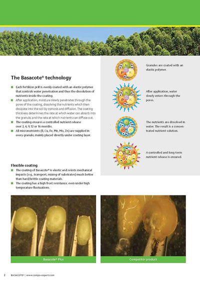 Slow Release Fertilizer (100g pack) 9 Months Slow Release NPK Fertilizer 11-11-16 + Micronutrients for Bonsai and Other Garden Plants (100g pack) once applied no need to give any fertilizer for next 9 months