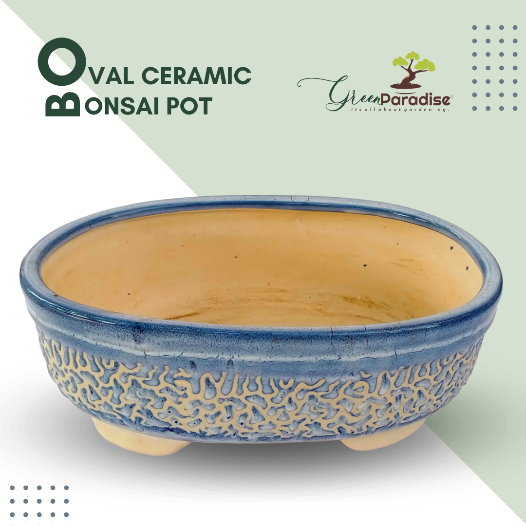 Green Paradise® Ceramic Pot for Bonsai Trees Size 27cm Oval Shape