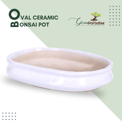 Green Paradise® Ceramic Pot Size 14'' Oval Shape for Bonsai Trees Succulents Fairy Gardens and Miniature Gardens Bonsai Planter