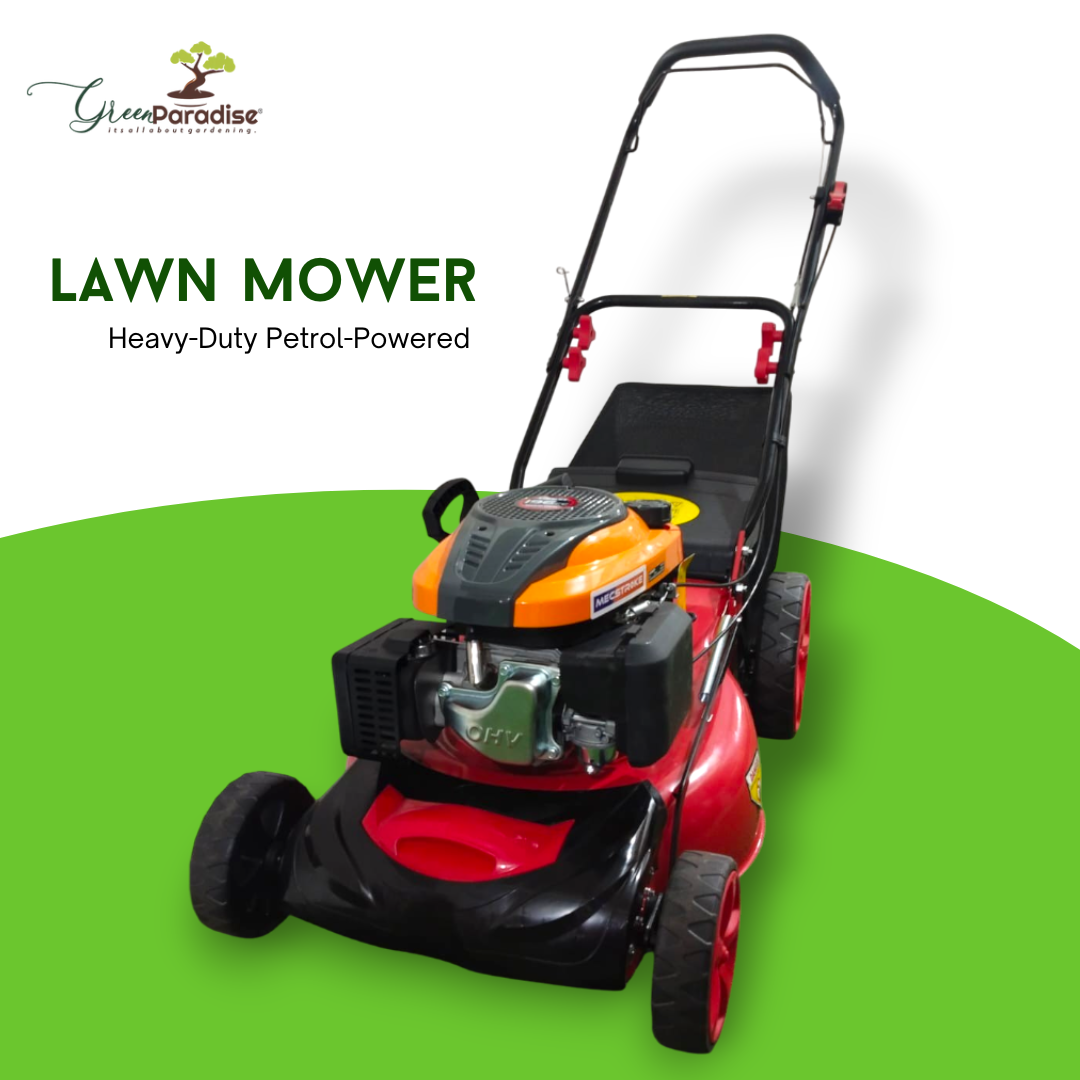 Green Paradise® 4-Stroke 196cc Heavy-Duty Self-Propelled Lawn Mower 20