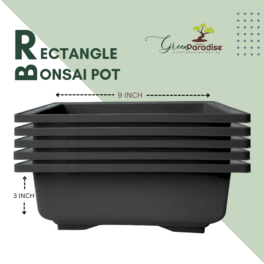 GREEN PARADISE® Rectangle Bonsai Plastic Pot Premium Quality Lightweight Pot for Indoor and Outdoor Bonsai Trees
