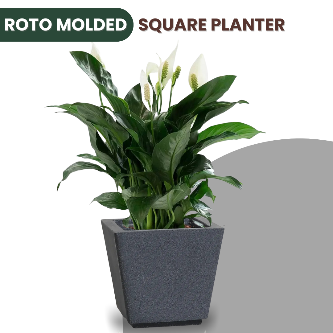 Green Paradise® Square Roto Molded High Qaulity Premium Planter