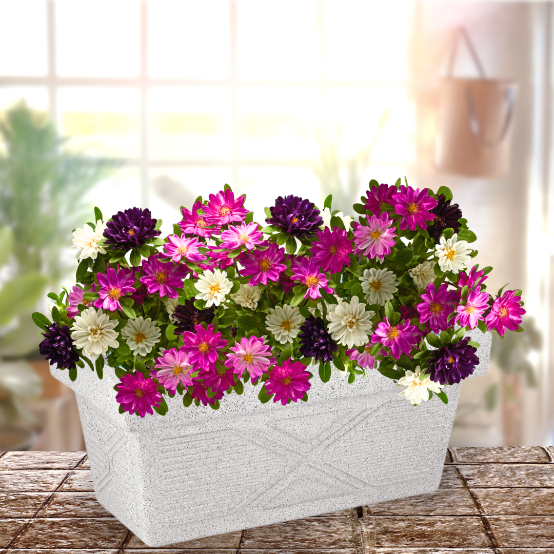 Green Paradise® Rect24 Roto Molded High Qaulity Premium Planter