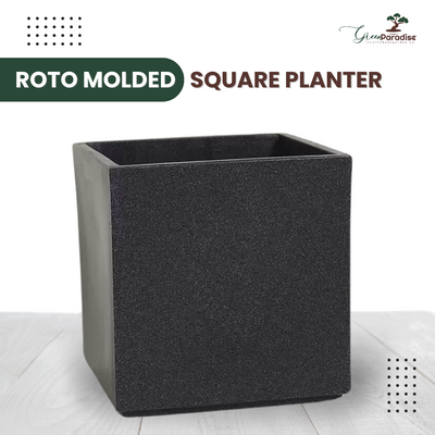 Green Paradise® Square Roto Molded High Qaulity Planter