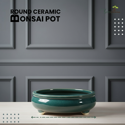 Green Paradise® Round Glossy Ceramic Pot for Bonsai Trees
