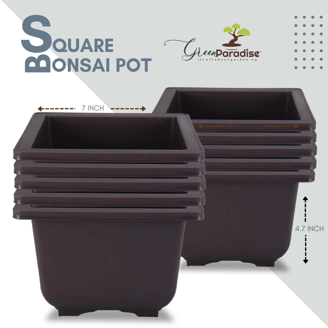 Green Paradise® Square Bonsai Plastic Pot Elevate Your Bonsai Experience