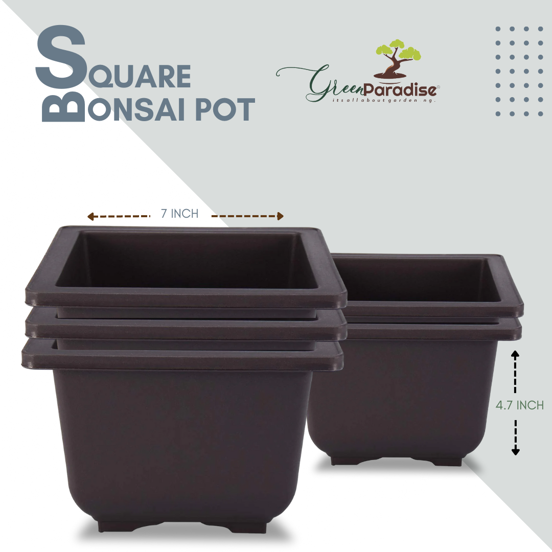 Green Paradise® Square Bonsai Plastic Pot Elevate Your Bonsai Experience
