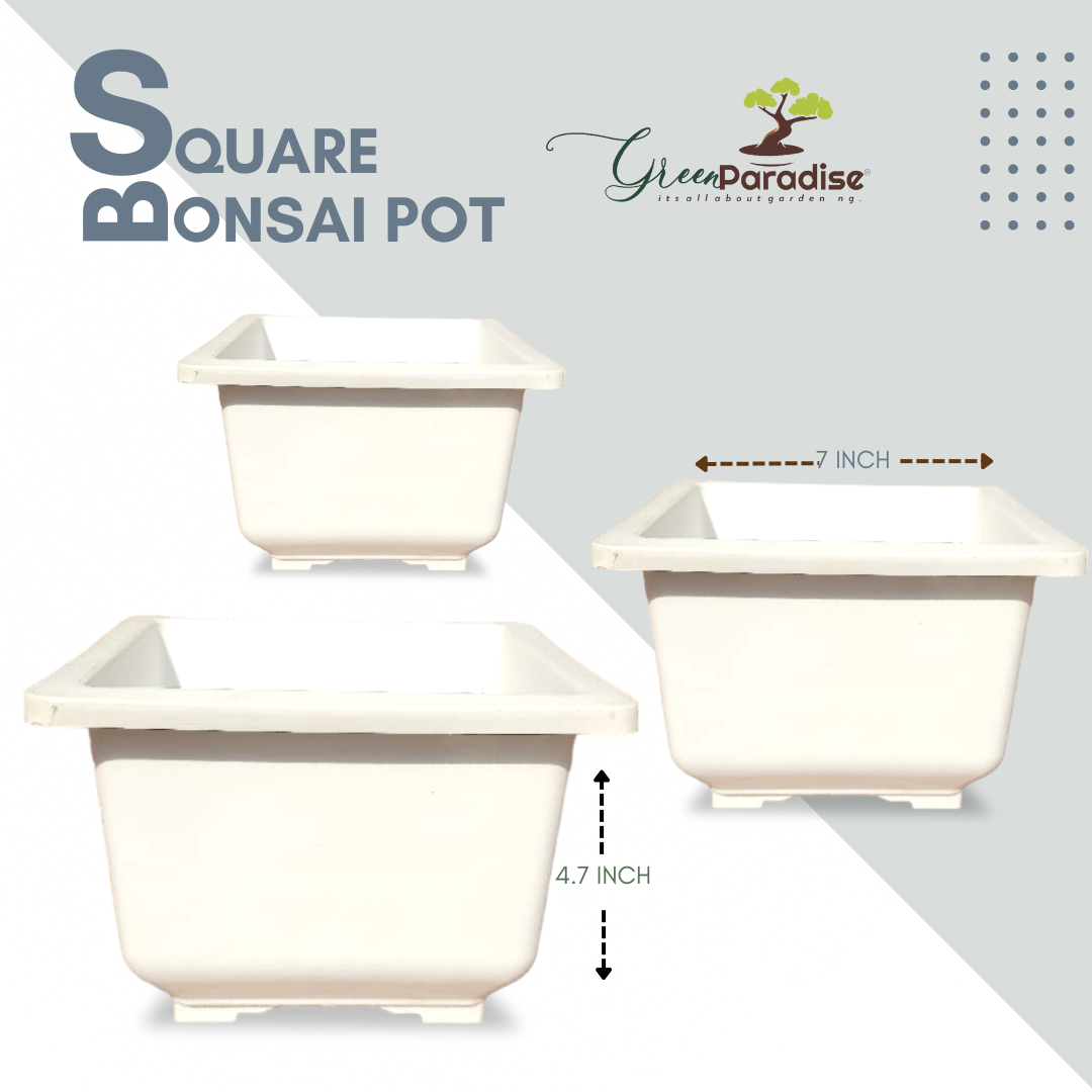 Green Paradise® Square Bonsai Plastic Pot Elevate Your Bonsai Experience