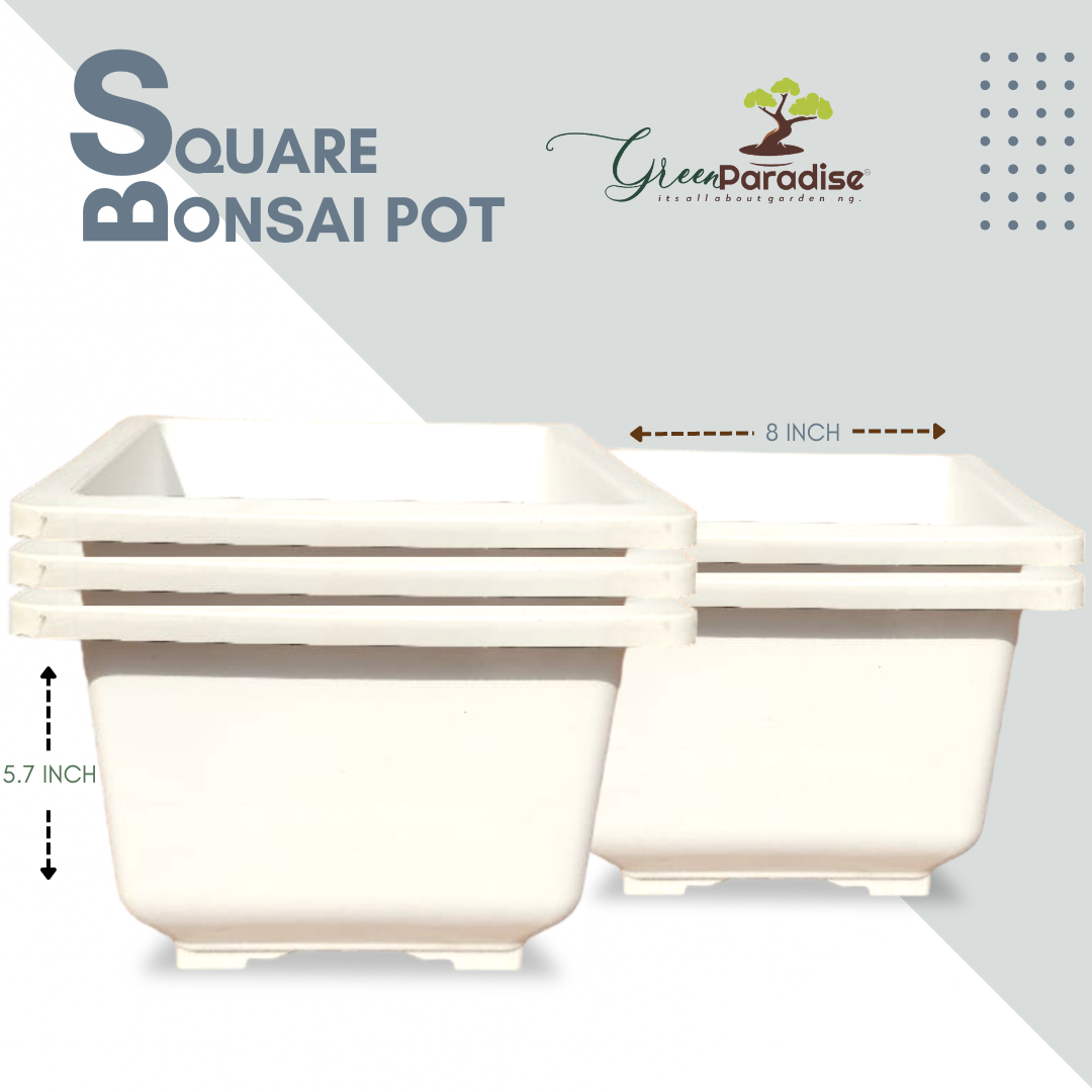 Green Paradise® Square Bonsai Plastic Pot Elevate Your Bonsai Experience