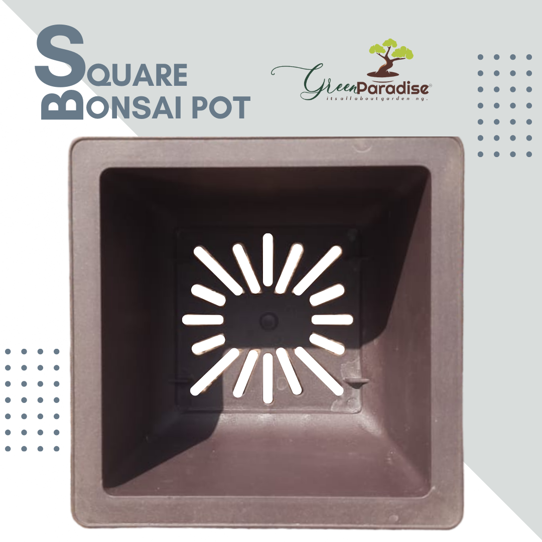 Green Paradise® Square Bonsai Plastic Pot Elevate Your Bonsai Experience