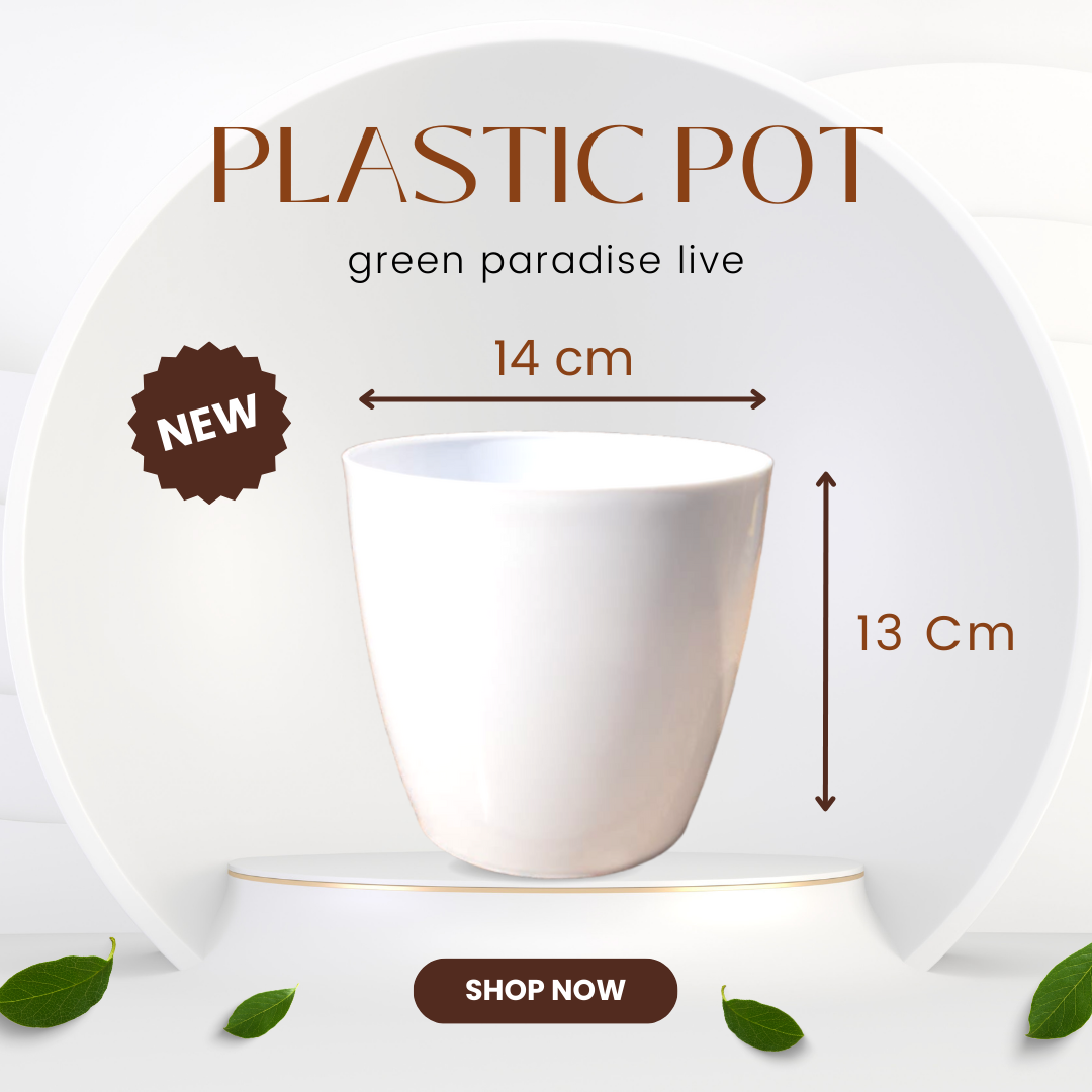 Green Paradise® Premium Glossy Plastic Pots ( set of 3 )