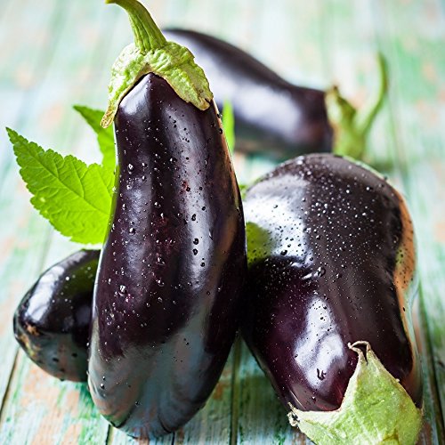 Green Paradise® Brinjal Seeds