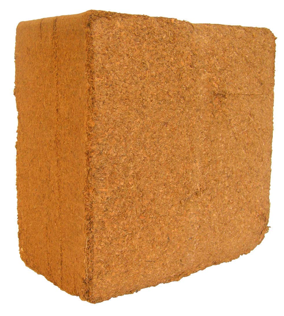 Cocopeat 5 kg Block