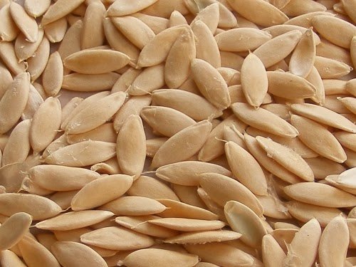 Green Paradise® Cucumber Seeds