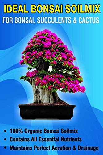 Green Paradise® Ideal Bonsai Soilmix 2 kg pack Ready to use soilmix for all kind of indoor and outdoor bonsai trees (set of 2 packs)