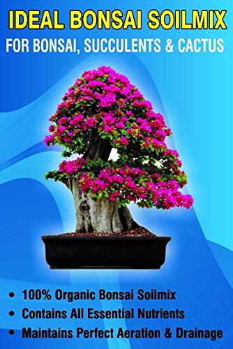 bonsai ideal se Green Paradise® Ideal Bonsai Soilmix 3 kg pack Ready to use soilmix fo –  GreenParadiseLive