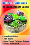 Ideal succulents And Adenium soil mix (se of 2 packs)
