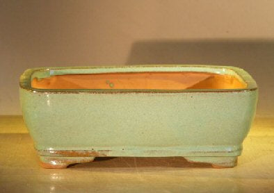 Glazed Bonsai Planter For Bonsai Plants and Home Garden Decor
