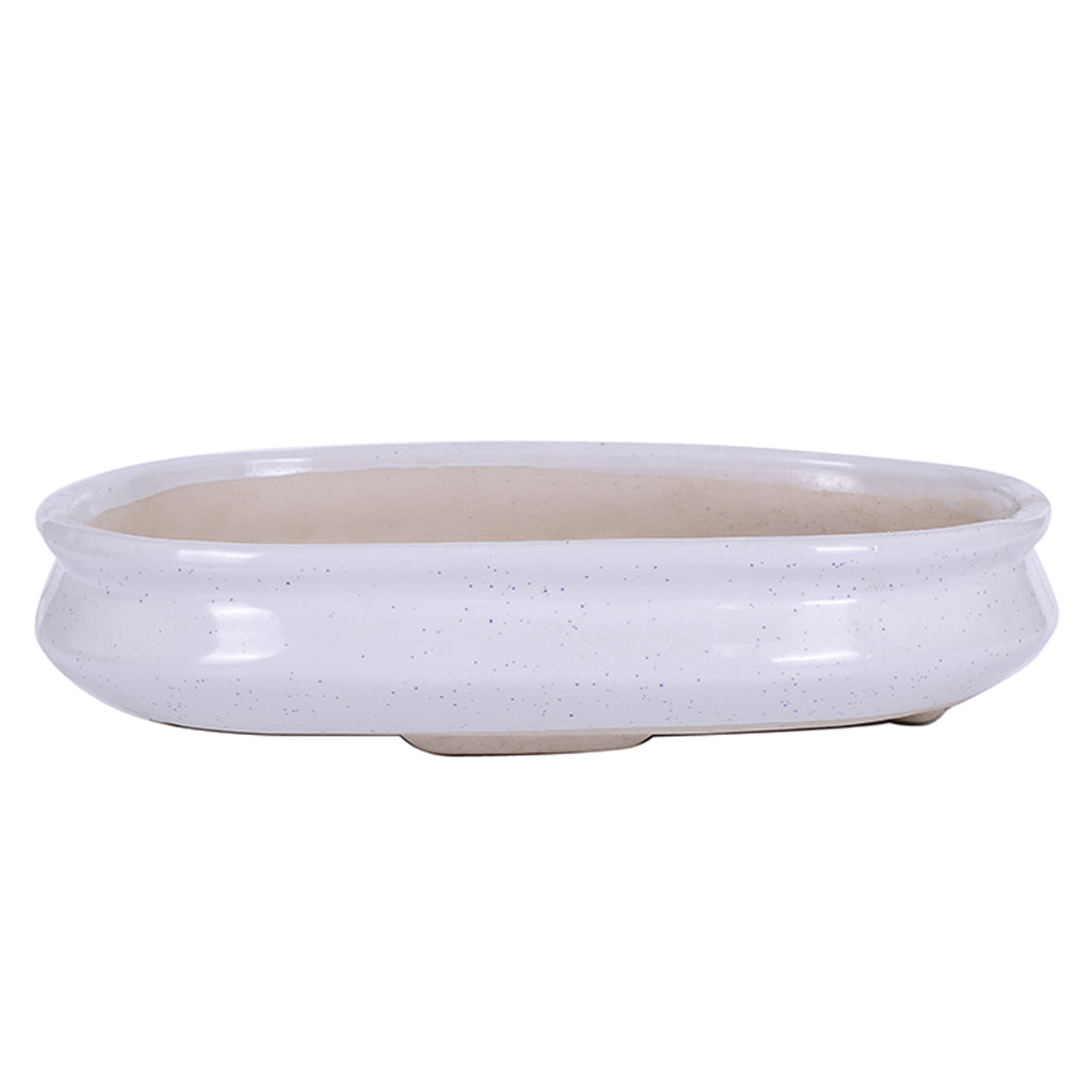 green paradise White Ceramic Pot Size 12'' Oval Shape for Bonsai Trees Succulents Fairy Gardens and Miniature Gardens Bonsai Planter