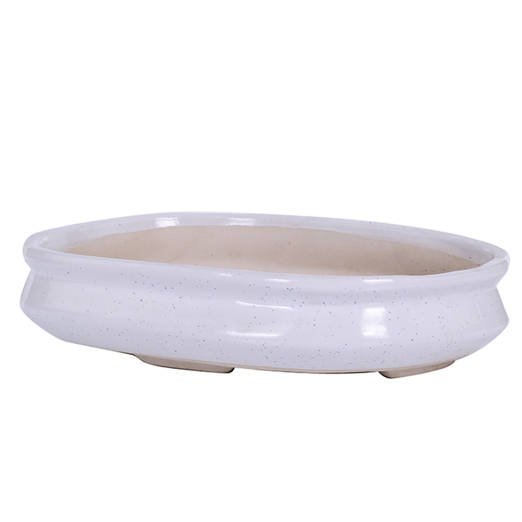 green paradise White Ceramic Pot Size 12'' Oval Shape for Bonsai Trees Succulents Fairy Gardens and Miniature Gardens Bonsai Planter