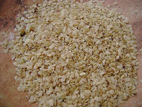 Potato Seeds