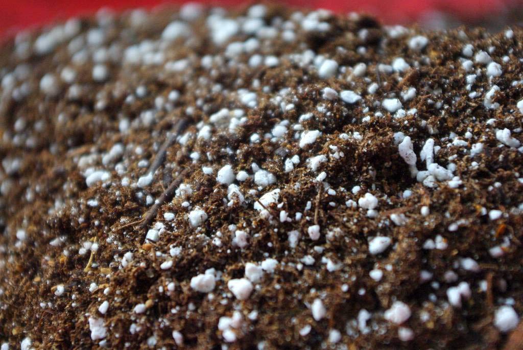 Perlite for Hydroponics & Horticulture Terrace Gardening Soil (900 grms Pack)Conditioner Healthy Root Growth Retains Moisture Allows Aeration