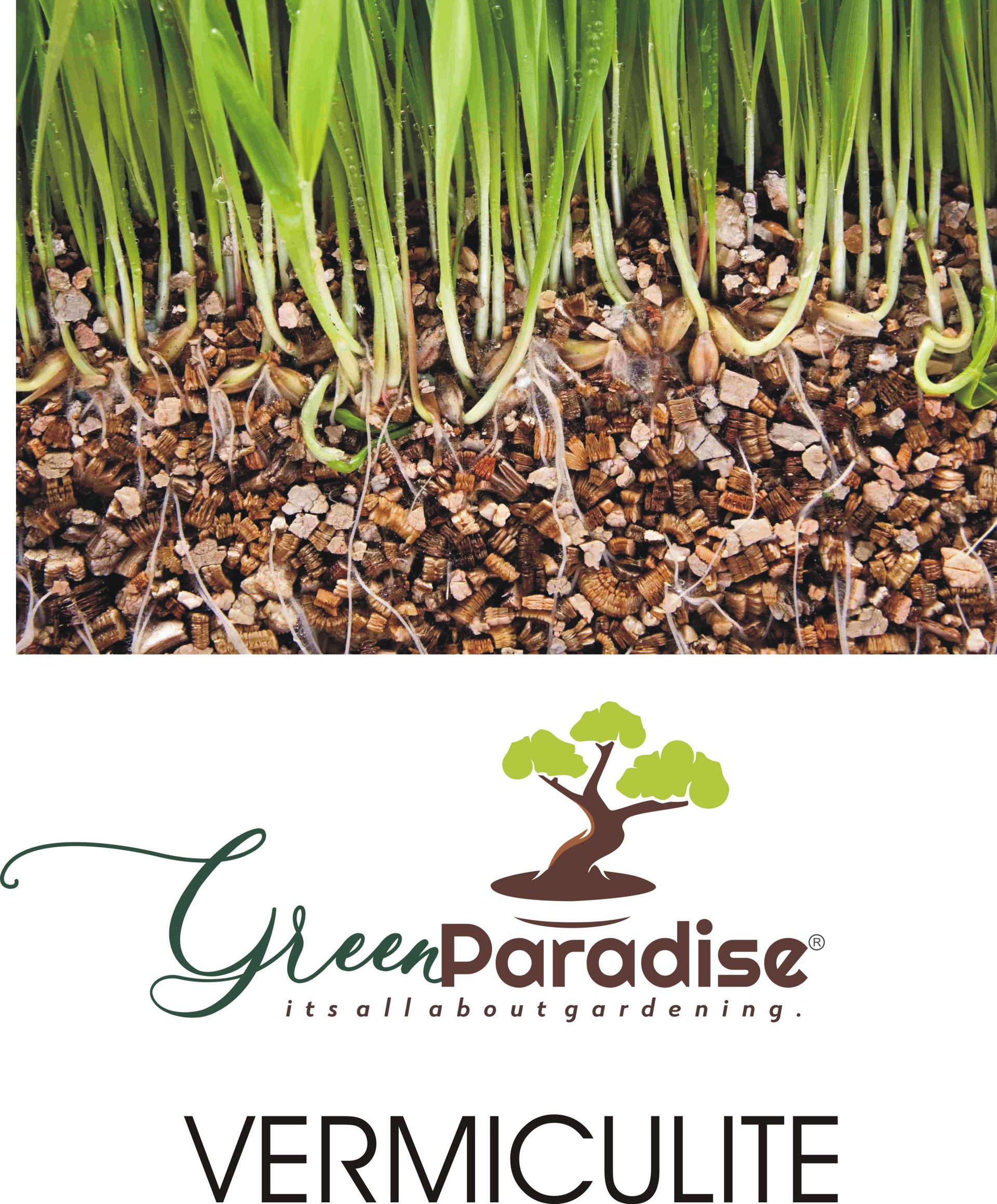 Green Paradise Hi Quality Vermiculite for Potting Media 0-5mm Size granules (3 kg Pack)