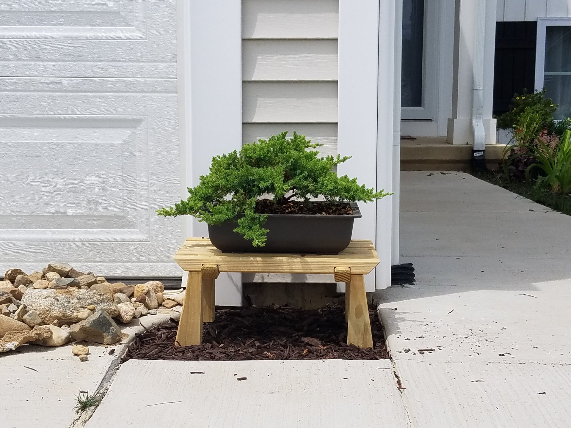 Bonsai Pots Rectangle 22 cm (L ) x 16 cm (W) x 8 cm(H) Black Color Ideal for Training Bonsai Trees Creating Succulent Cactus Mini Gardens adeniums ( Pack of 3 )