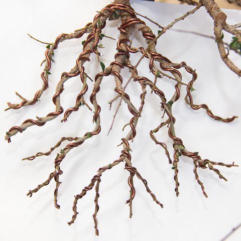 Bonsai Training Wires 3 Size Starter Set 150 feet (1mm, 1.5 mm, 2.0 mm, Each 50 ft, Copper Color)