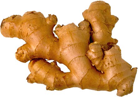 Ginger Seeds