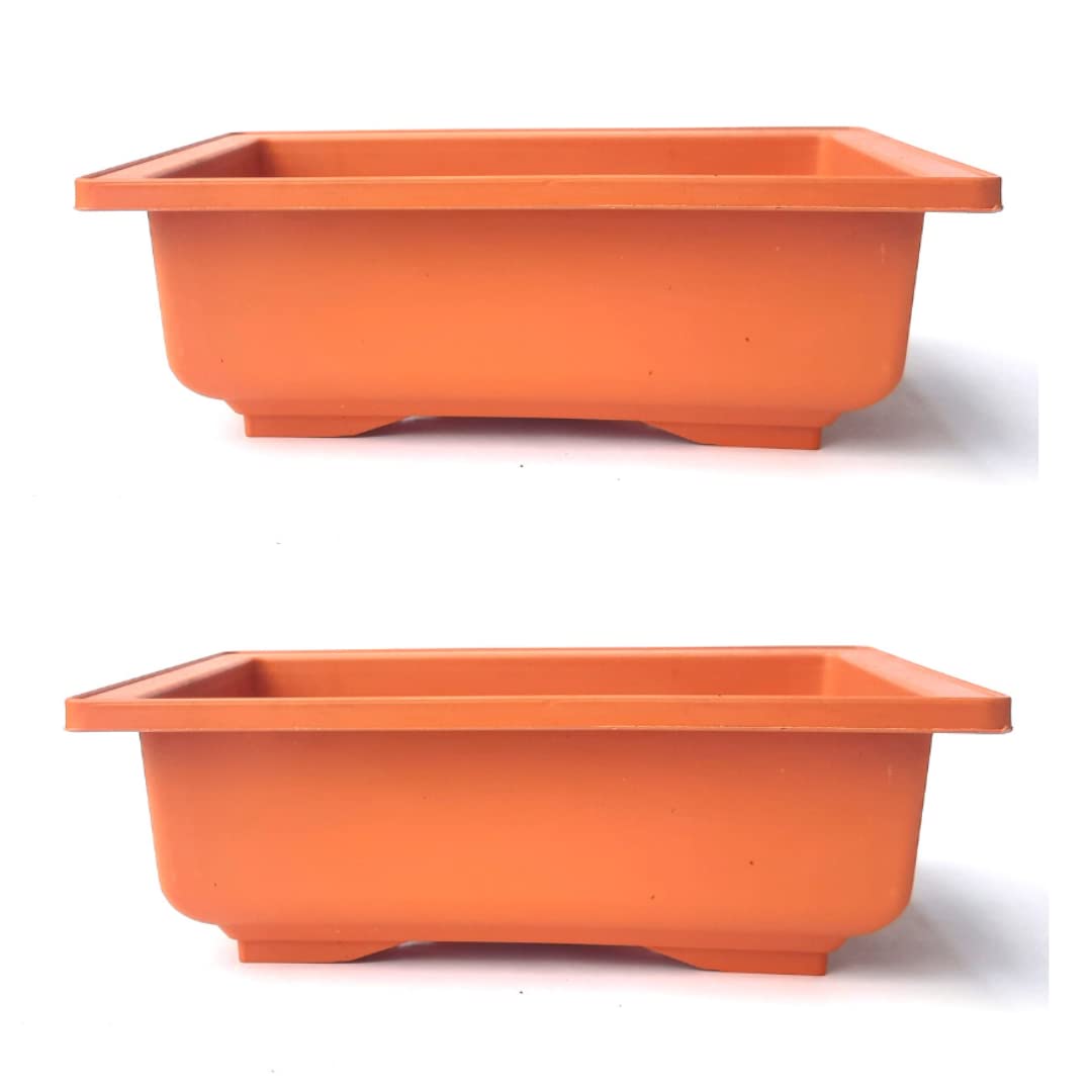 GREEN PARADISE® Bonsai Pots Rectangle 22.90 cm (L ) x 16.50cm (W) x 8.30 cm(H) (Terracotta Color) Training Bonsai Trees Succulent Cactus Mini Gardens and adeniums (Pack of 2)
