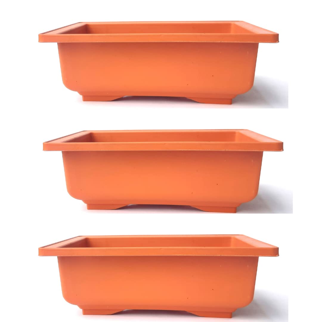 GREEN PARADISE® Bonsai Pots Rectangle 22.90 cm (L ) x 16.50cm (W) x 8.30 cm(H) (Terracotta Color) Training Bonsai Trees Succulent Cactus Mini Gardens and adeniums (Pack of 3)