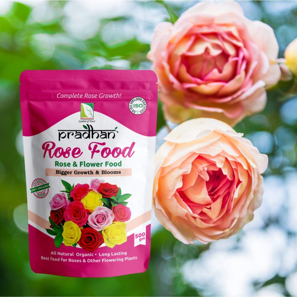 WellGrower Pradhan Rose Food Organic Fertilizer and Manure 500 GM and Pradhan Super Prom Organic Fertilizer Granule 500 GM Combo