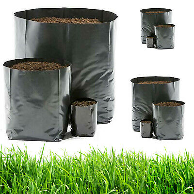 Small Planting bags Plastic Poly Grow Bag 6 x 7 50/100/300bags