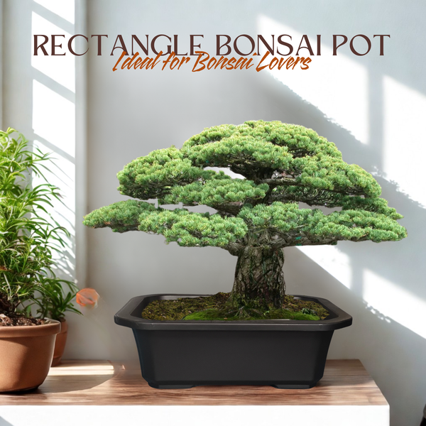 Green Paradise® Premium Rectangular Bonsai Pot Durable Plastic 40cm pot
